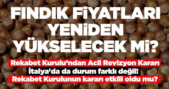 FINDIK FİYATI YENİDEN YÜKSELECEK Mİ?