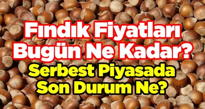 Fındık Fiyatları Bugün Kaç TL Oldu?