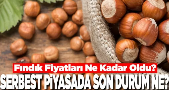 Fındık Fiyatları Ne Kadar Oldu?