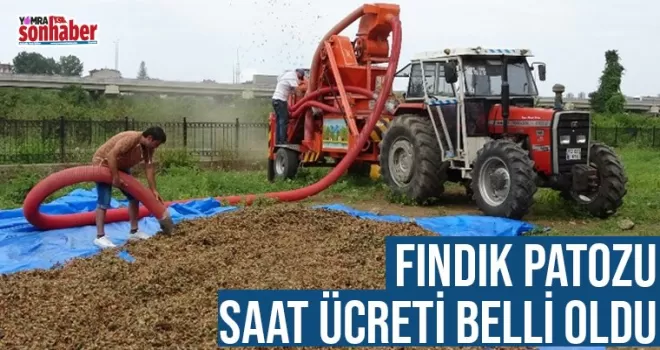 FINDIK PATOZU SAAT ÜCRETİ BELLİ OLDU