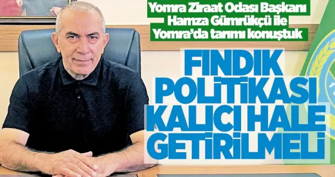 Fındık politikası  kalıcı hale getirilmeli 