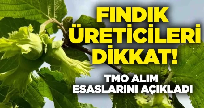 Fındık üreticileri dikkat! Alım esasları açıklandı
