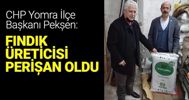 Fındık Üreticisi Dertli..