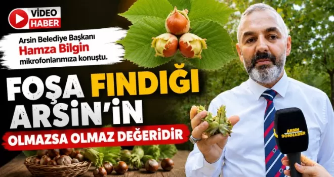 Foşa Fındığı Arsin’in Olmazsa Olmaz Değeridir
