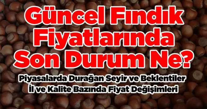 Güncel Fındık Fiyatlarında Son Durum Ne?
