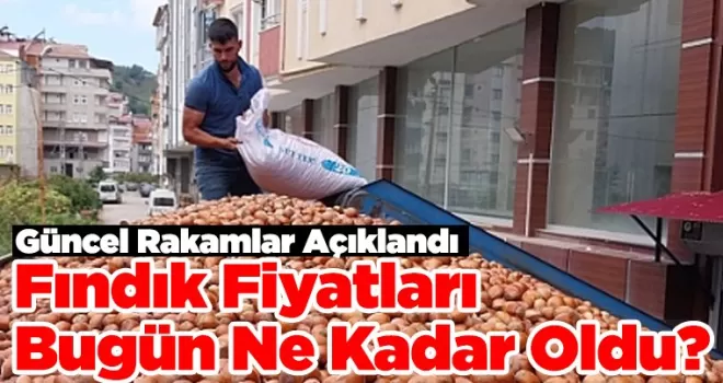Güncel Rakamlar Açıklandı