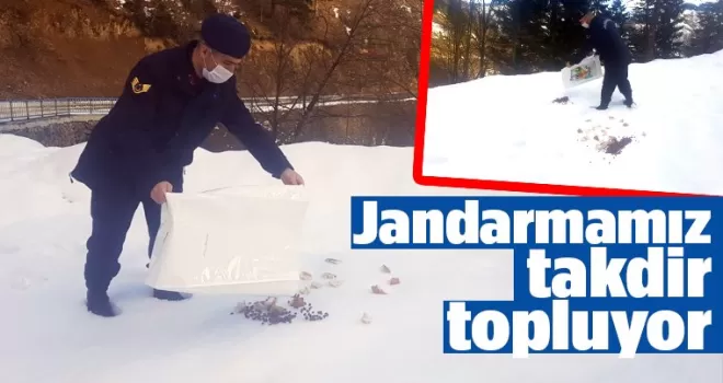 Jandarmamız takdir topluyor