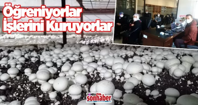 Öğreniyorlar İşlerini Kuruyorlar