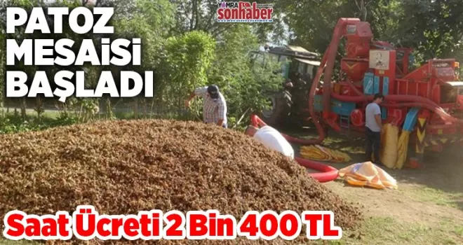 Patoz’un saatlik ücreti 2.400 TL