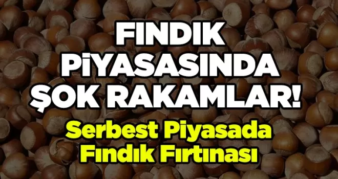 Serbest Piyasada Bugün Fındık Fırtınası