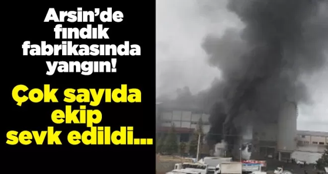 Trabzon’da fındık fabrikasında yangın! Çok sayıda ekip sevk edildi...