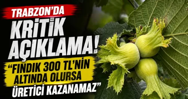 Trabzon’da kritik açıklama ! “Fındık 300 TL’nin altında olursa üretici kazanamaz“