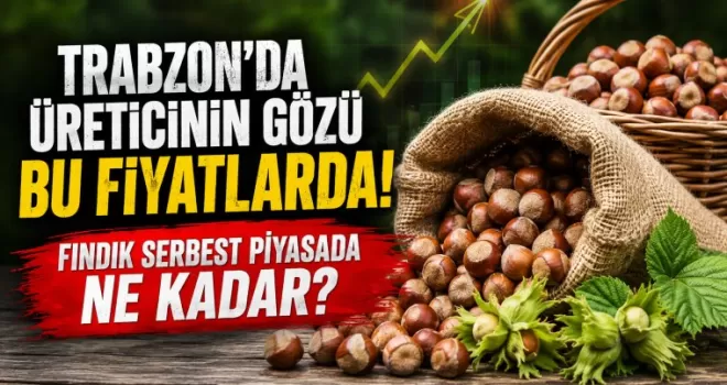 Trabzon’da üreticinin gözü bu fiyatlarda! Fındık serbest piyasada ne kadar