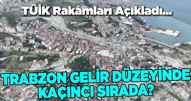 Trabzon Gelir Düzeyinde Kaçıncı Sırada?