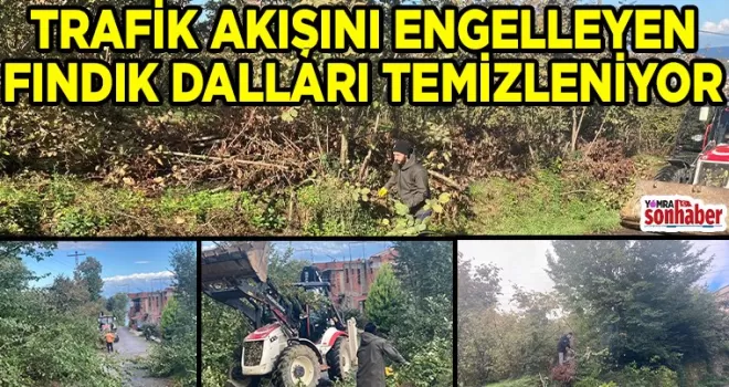 TRAFİK AKIŞINI ENGELLEYEN FINDIK DALLARI TEMİZLENİYOR