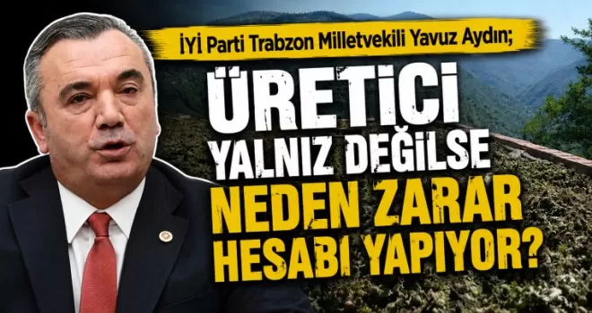 Üretici yalnız değilse neden zarar hesabı yapıyor?