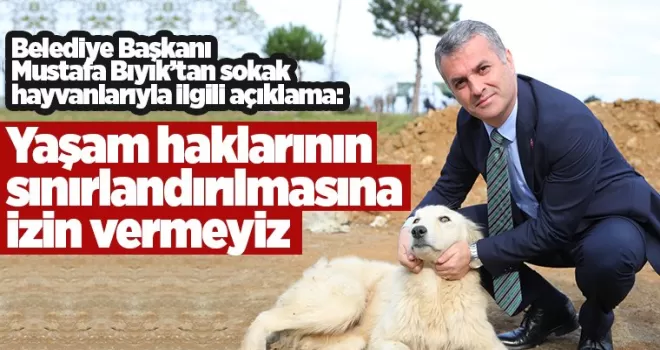 Yaşam haklarının sınırlandırılmasına izin vermeyiz