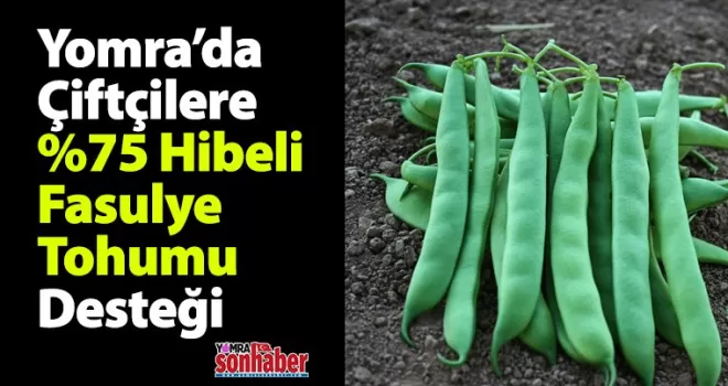 Yomra’da Çiftçilere %75 Hibeli  Fasulye Tohumu Desteği