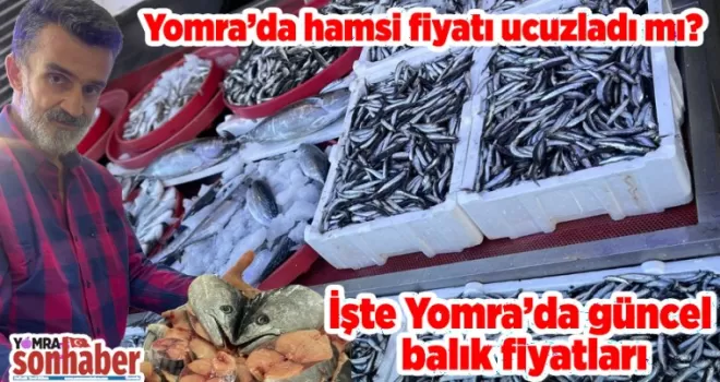Yomra’da hamsi fiyatı ucuzladı mı?  İşte Yomra’da güncel balık fiyatları