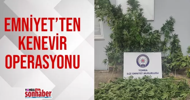 Yomra’da kenevir operasyonu