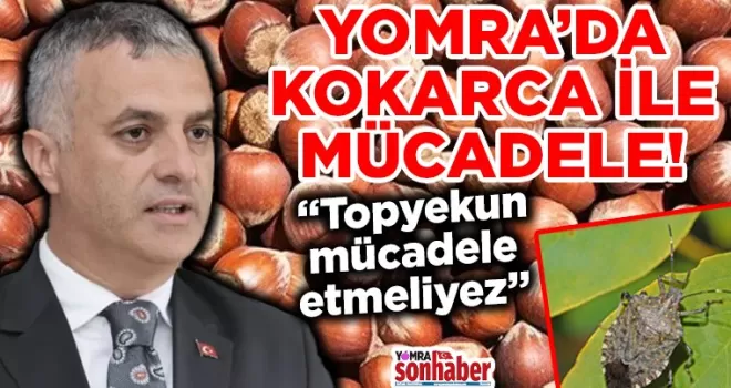 Yomra’da kokarca ile mücadele!