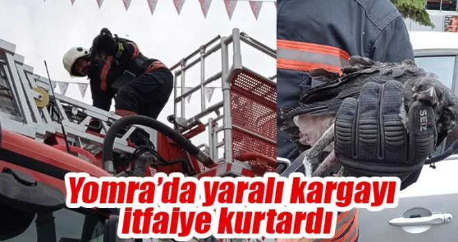 Yomra’da yaralı kargayı itfaiye kurtardı