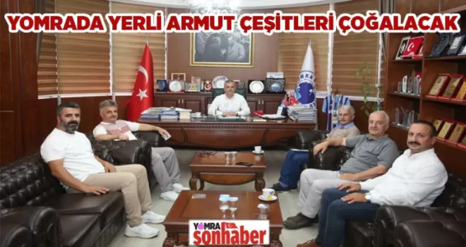 YOMRA’DA YERLİ ARMUT ÇEŞİTLERİ ÇOĞALTILACAK